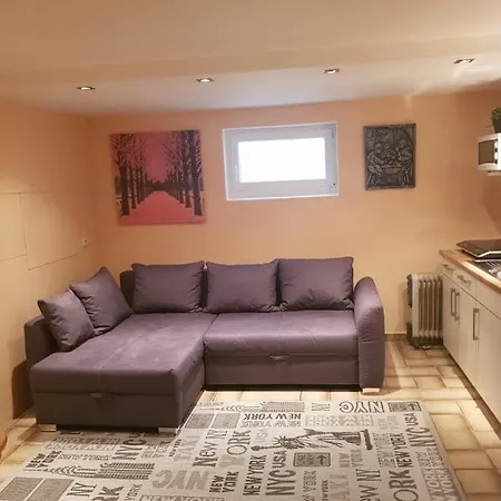 Gemuetliche Ferienwohnung Mit Kamin Und Sauna! * Nistertal