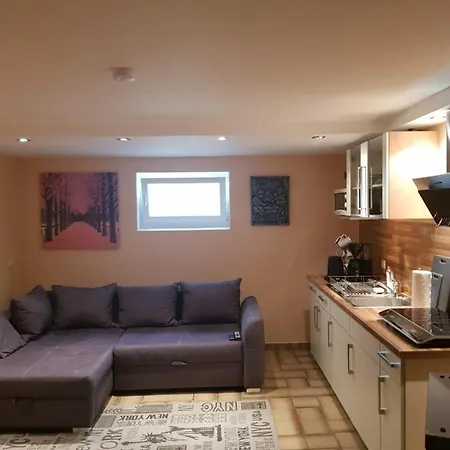 Gemuetliche Ferienwohnung Mit Kamin Und Sauna! Appartement Nistertal