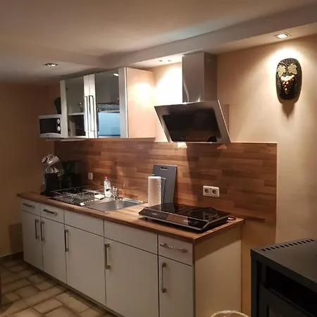 Gemuetliche Ferienwohnung Mit Kamin Und Sauna! Nistertal