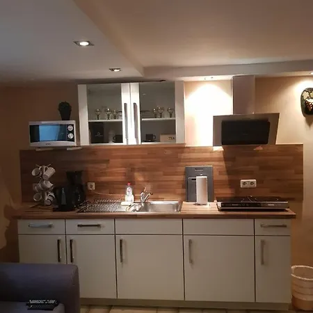 Appartement Gemuetliche Ferienwohnung Mit Kamin Und Sauna! Nistertal