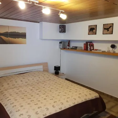 Gemuetliche Ferienwohnung Mit Kamin Und Sauna! Appartement Nistertal